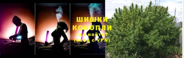 бошки Алексин