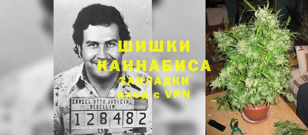бошки Алексин