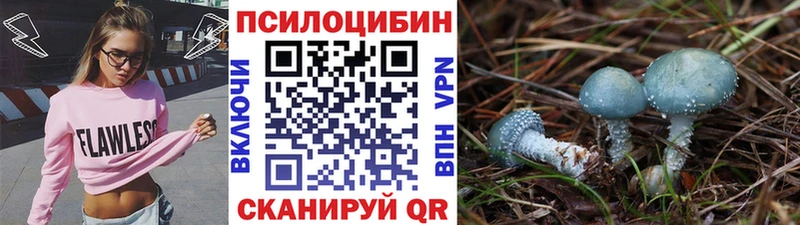 Псилоцибиновые грибы ЛСД  Зеленокумск 
