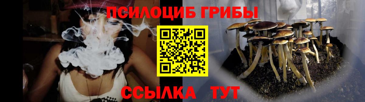 Зеленокумск  Псилоцибиновые грибы MAGIC MUSHROOMS  Галлюциногенные грибы GOLDEN TEACHER  Вход с VPN 